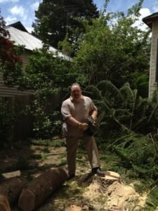 Daddy the woodsman conquered the tree