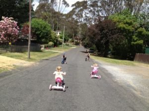Keeping busy away from tree removal action